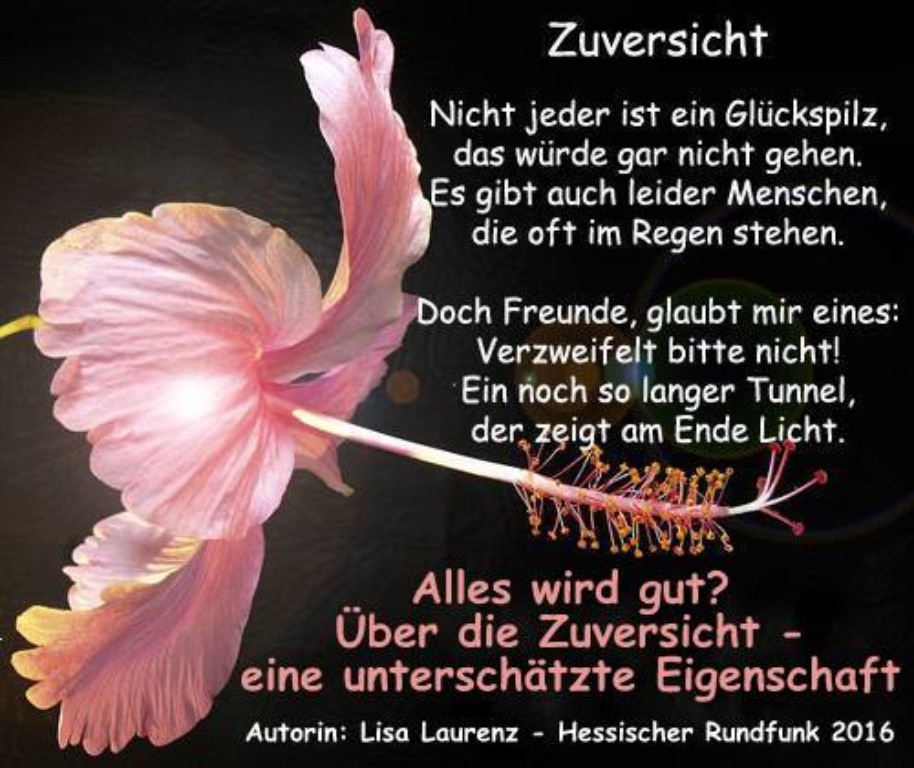 Ins Gelingen verliebt - Über die Zuversicht Ins Gelingen verliebt - Über die Zuversicht
